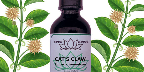 Comprehensive Guide on the Benefits of Cat's Claw Supplements