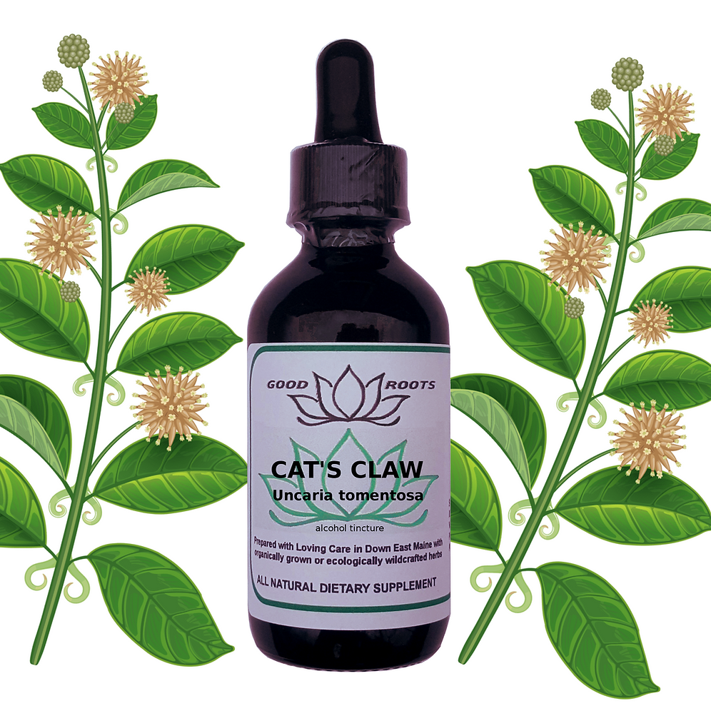 Comprehensive Guide on the Benefits of Cat's Claw Supplements