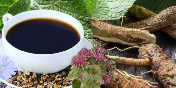 The Comprehensive Guide to the Benefits of Burdock Supplements