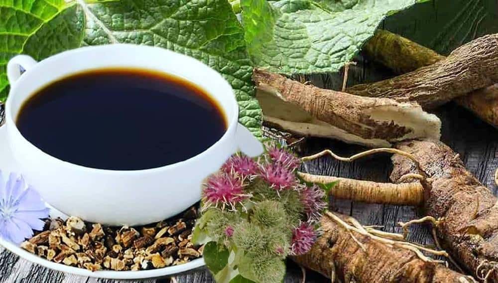 The Comprehensive Guide to the Benefits of Burdock Supplements