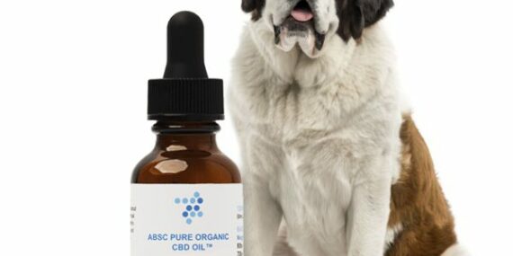 CBD For Dogs By Abscorganics-The Ultimate CBD Products for Dogs A Comprehensive Review