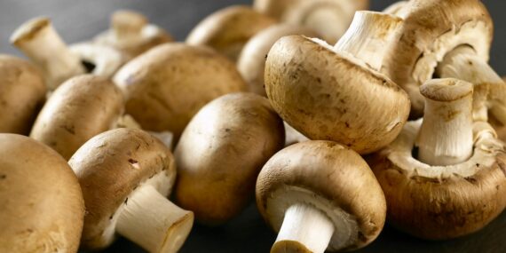 Cordyceps Unveiling the Health Benefits of Functional Mushrooms