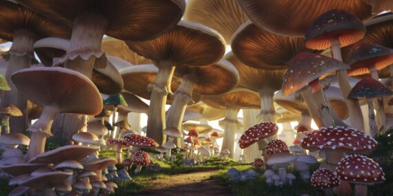 Tremella Mushrooms Unveiling the Health Benefits of Functional Fungi